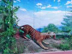 -国家自然博物馆