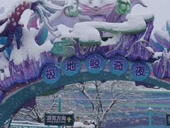 -海合安武汉极地海洋公园