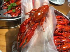 贵妃虾-0574龙虾的故事(东裕店)