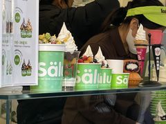 -Salud撒露欧洲冻酸奶(蓝色港湾店)