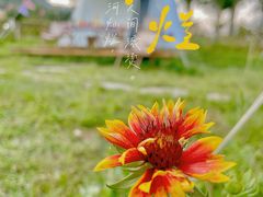 -禅宗少林·音乐大典