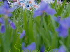 -白鹭湾湿地公园