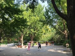 -宣武艺园