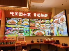 -杨厨的田园饭店(长城路店)