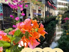 -鹅滋道(甘坑古镇店)