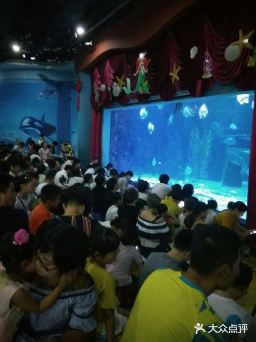 台州海洋世界图片