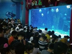 -台州海洋世界
