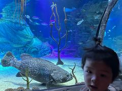 -沈阳海洋探索中心