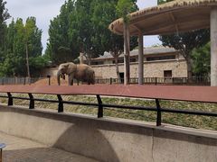 -石家庄市动物园