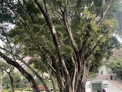 -人民公园(罗湖区)