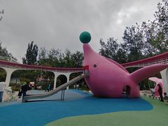-张店儿童公园