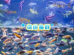 -南昌海洋公园