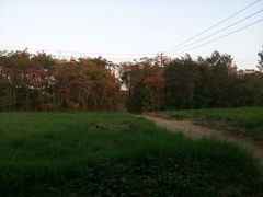 android_upload_pic-定鼎门遗址博物馆