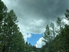 -塞罕坝国家级自然保护区