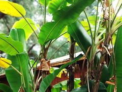 -北海金海湾红树林生态旅游区