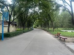 -森林公园(尖草坪区)