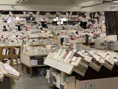 -先锋书店(五台山总店)