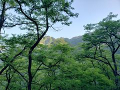 -泰山风景名胜区