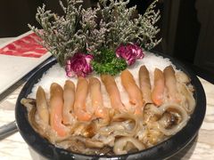 -汤城·料青山