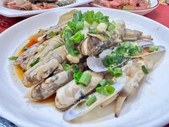 长街蛏子-红灯笼龙凤饭店(宁波老字号店)