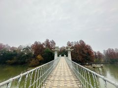 -东湖落雁景区
