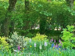 -上海共青森林公园