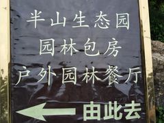 -老幺泉水鸡