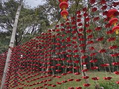 -广州市白云山风景名胜区