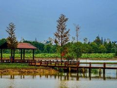 -上海长兴岛郊野公园