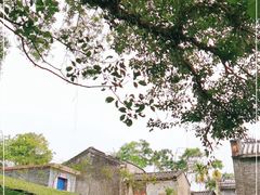 -蔡家宅