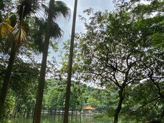 -西樵山风景名胜区-天湖公园