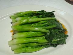 -正兴蜀园(科技园区店)