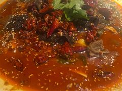 招牌毛血旺-映水芙蓉(上海万象城店)