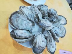 -蚝专家(北滘店)