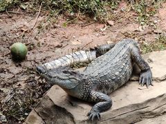 -南昌动物园
