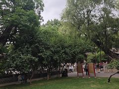 -晋祠公园