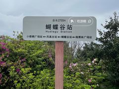 -梧桐山风景名胜区