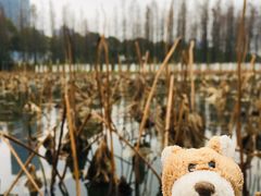 -艾溪湖湿地公园