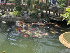 -裕丰源(福彩路店)