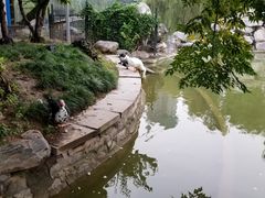 -西安市长乐公园