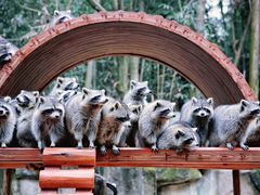 -杭州野生动物世界