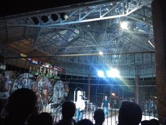 -清迈夜间动物园