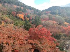 -有栖山 清光院 清水寺