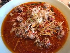 -雀蓝川菜(奥体广场店)