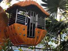 -南宫五洲植物乐园