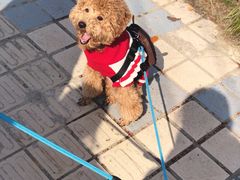 -蜀冈西峰生态公园