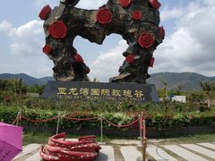 -亚龙湾国际玫瑰谷