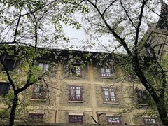 -武汉大学-樱园