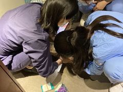 -御宝贝24h宠物医院·转诊中心·CT核磁血透中心(厦门总院)