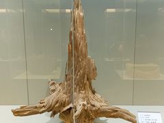 -中国沉香文化博物馆
